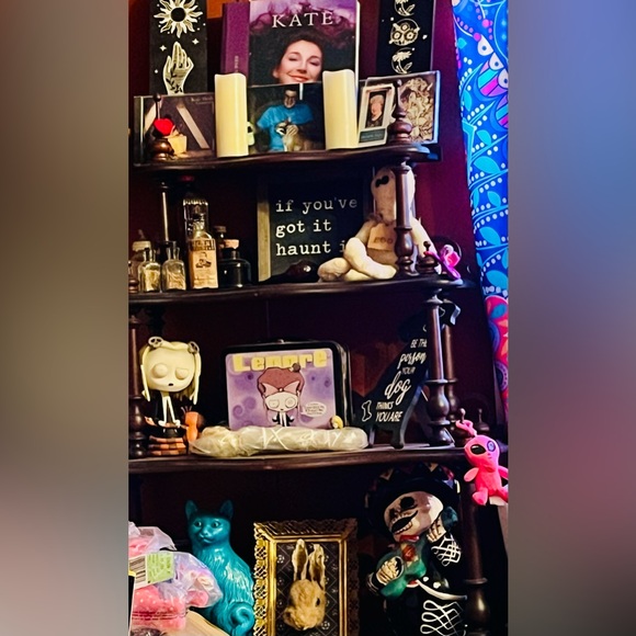 Meet your Posher, Lolly - Picture 12 of 16